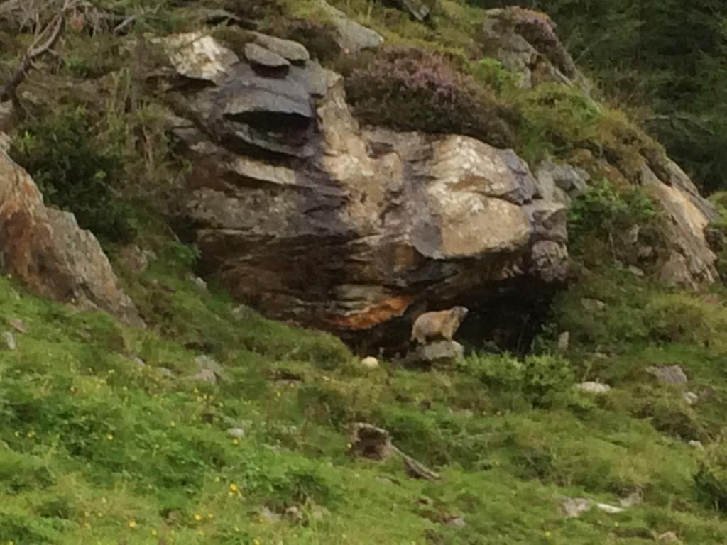 Berghaus Aussergschloess Matrei in Osttirol Exterior photo